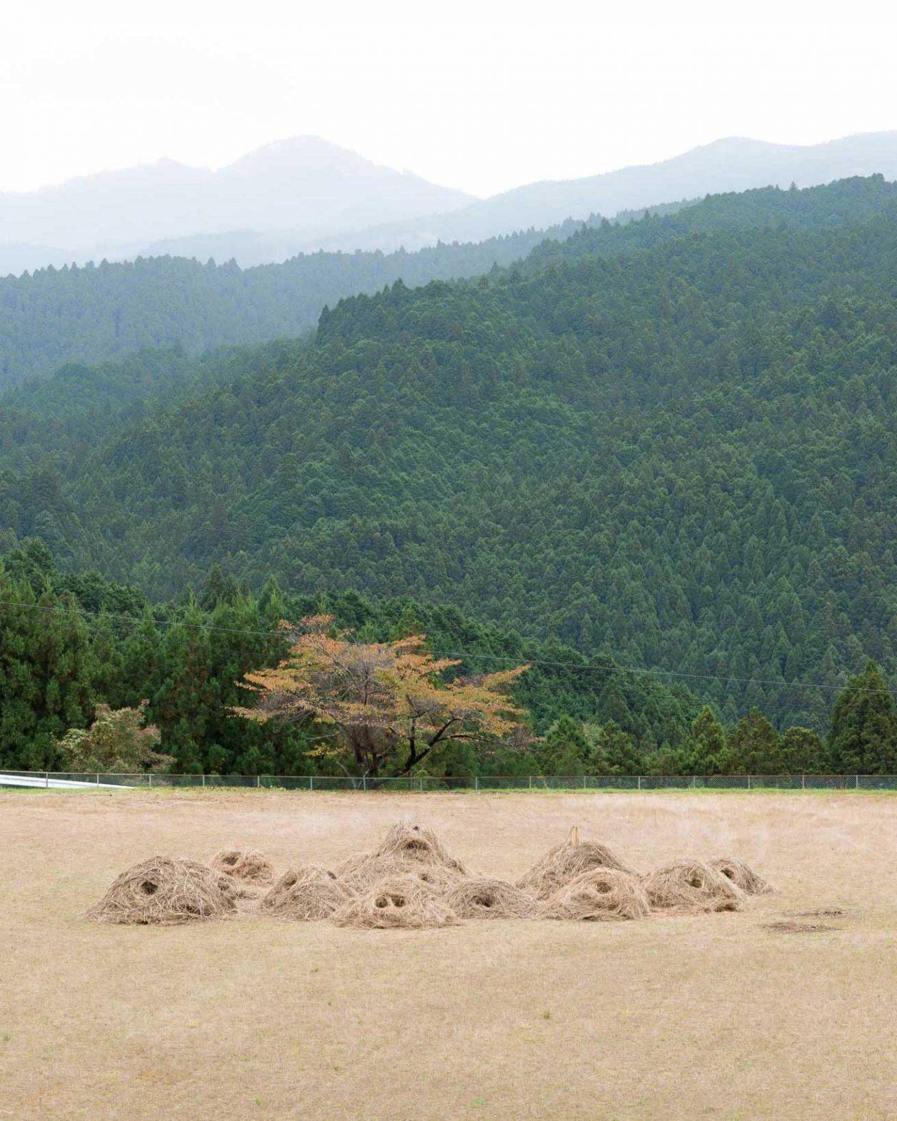 奈良で体験する、自然とアートの共鳴。今秋も芸術祭「MIND TRAIL」が開催！