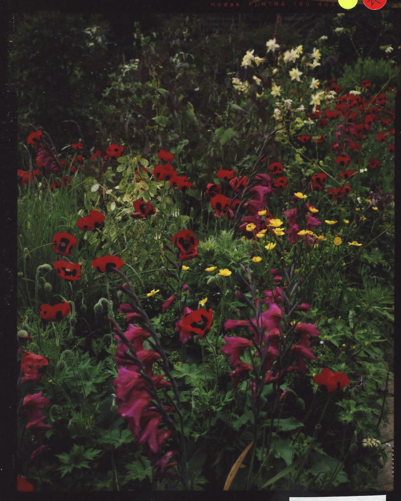 イギリスの庭づくりの巨匠として名を馳せる園芸家クリストファー・ロイド（1921-2006）が手がけた、「グレート・ディクスター ハウス＆ガーデン」。