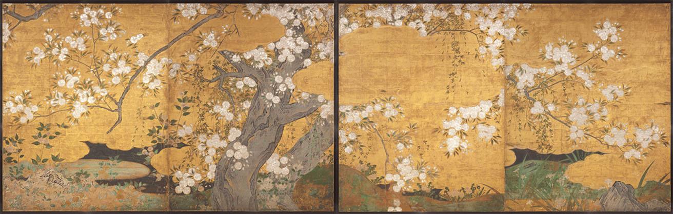 国宝《桜図》長谷川久蔵（桃山時代・16世紀。全期間展示）智積院蔵。