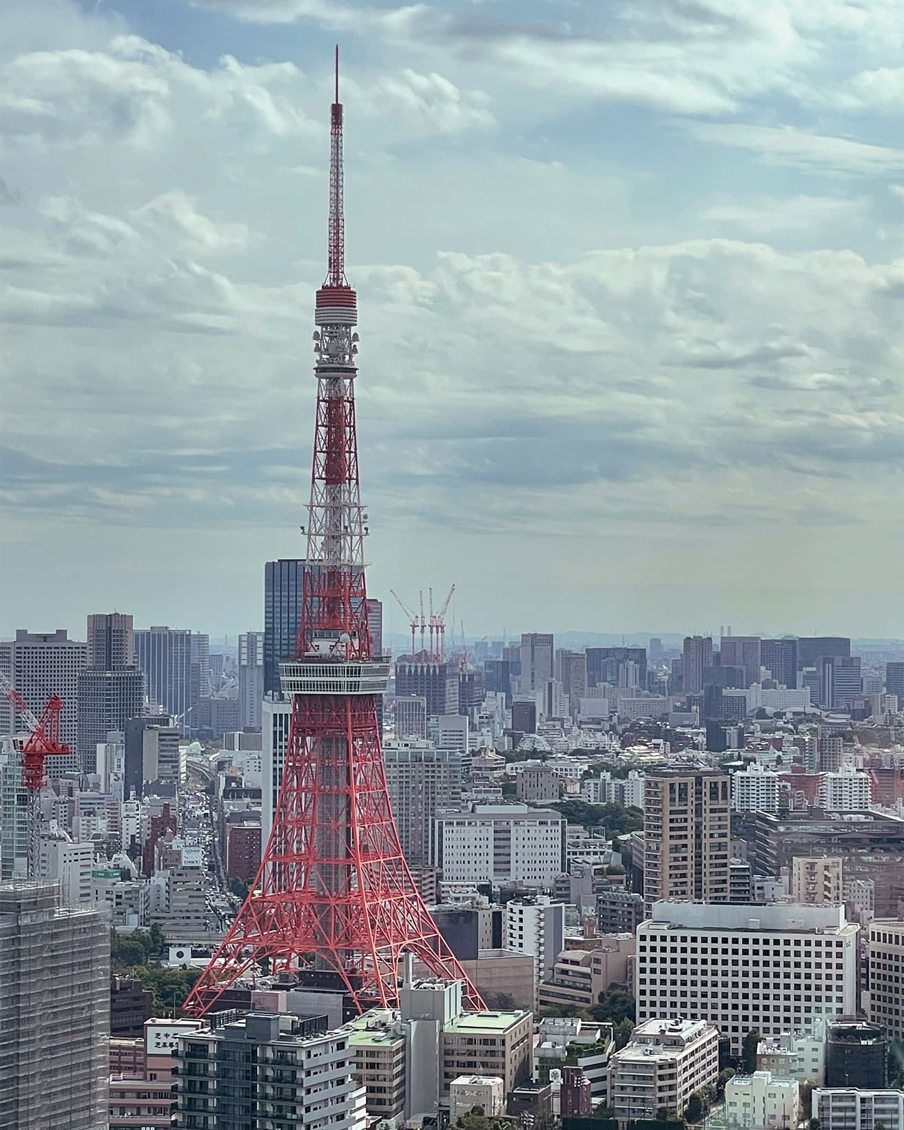 〈東京タワー〉内藤多仲、日建設計工務設計。1958年竣工。東京都港区。photo_Tatsuo Iso