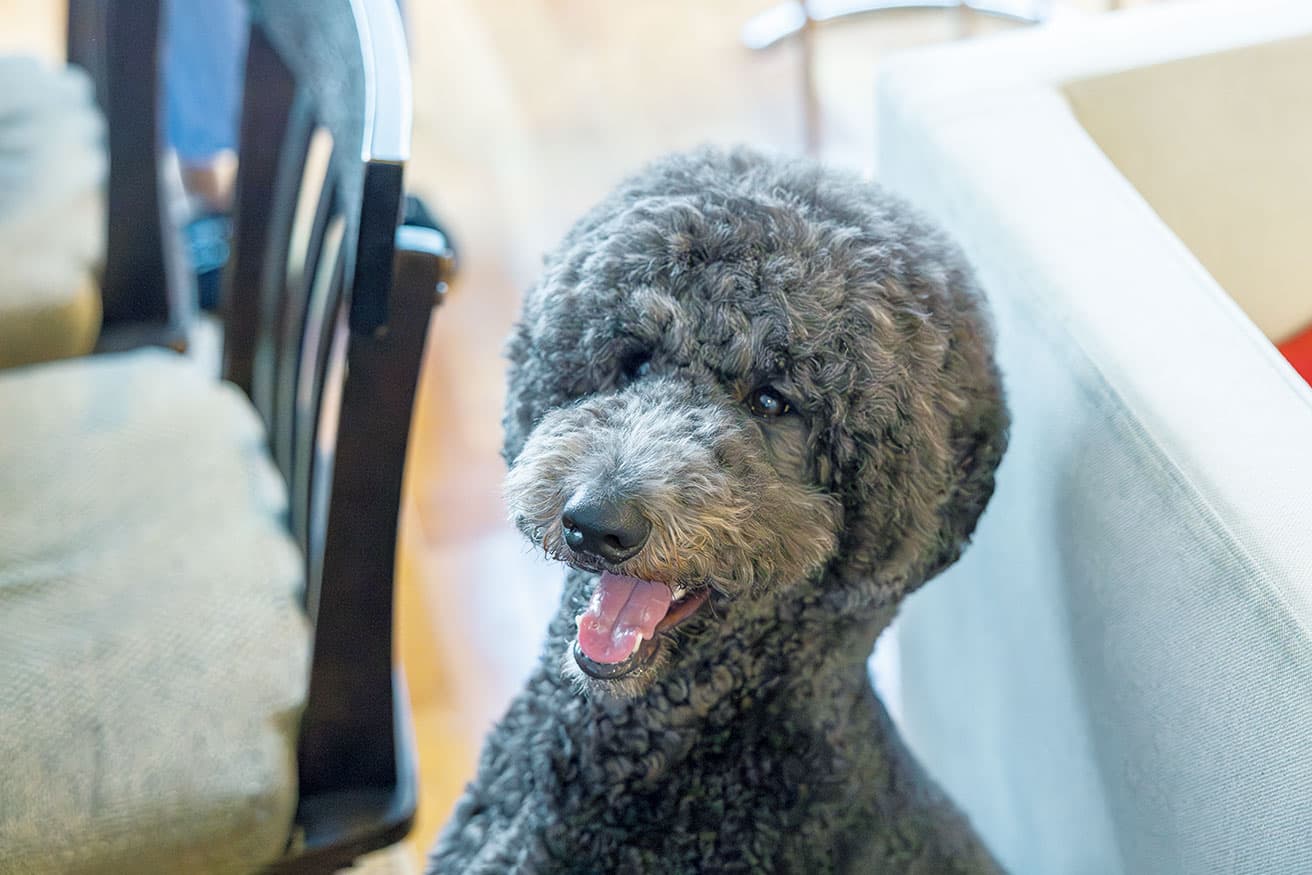 MUUMは無有無と表記することも。