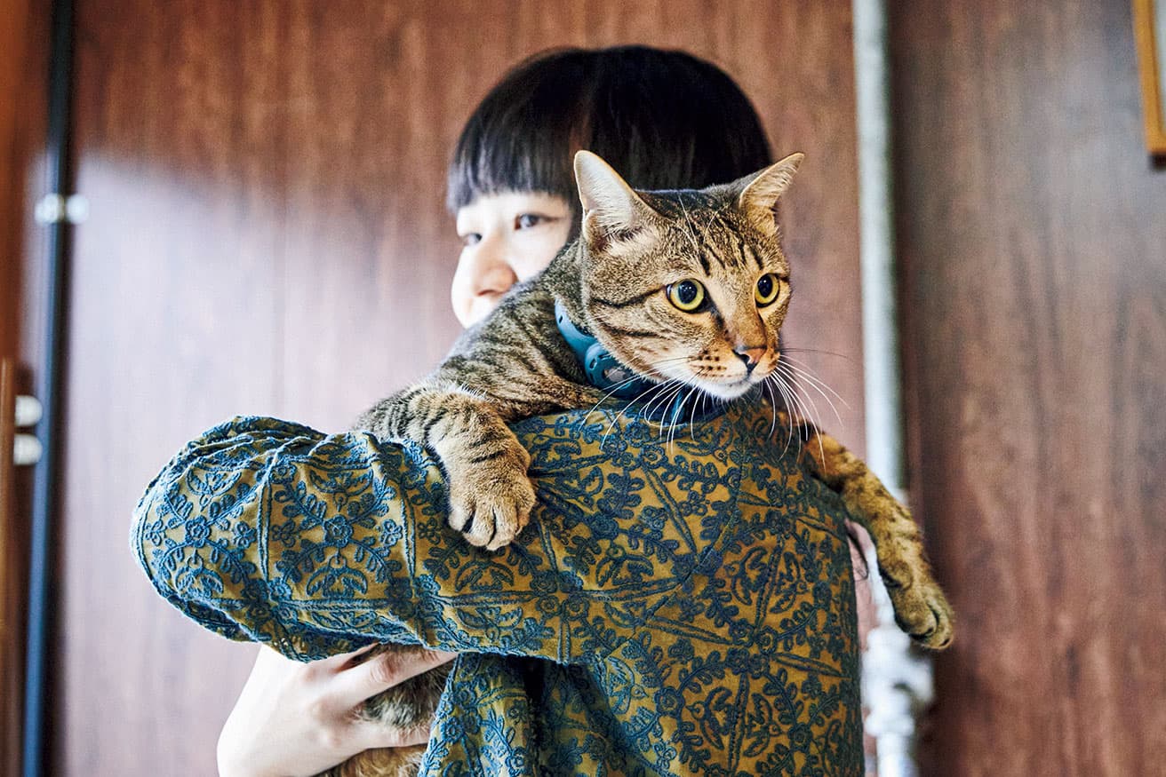 ベンガルときじ猫のミックスで背骨の節が1つ多い。