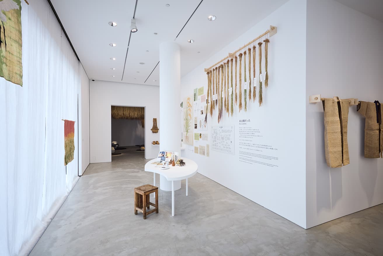 衣服や稲など、さまざまなものが展示されていて、見ているだけで楽しめる。