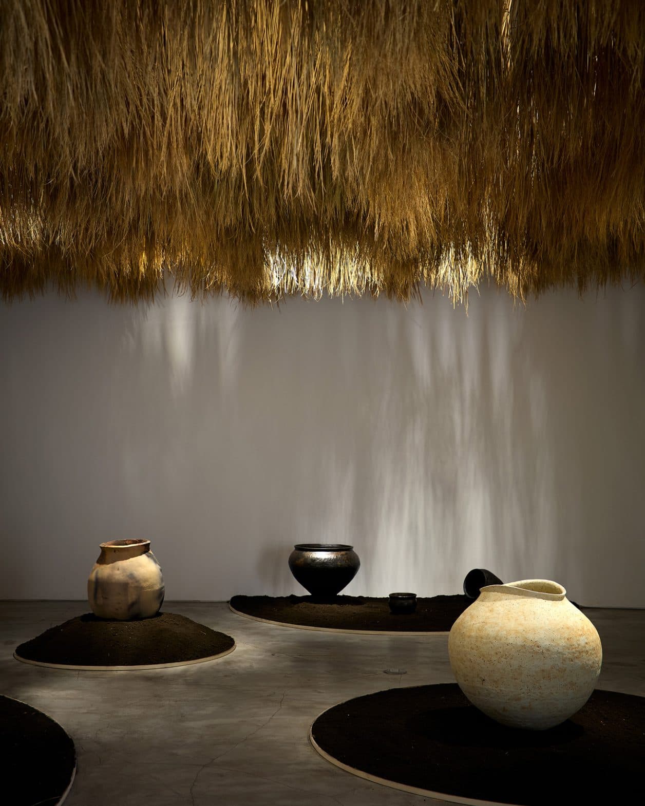 植物が紡ぐ、衣・食・住の未来を見つめて。〈GYRE GALLERY〉で『Life is beautiful:衣・食植・住』展、開催中!