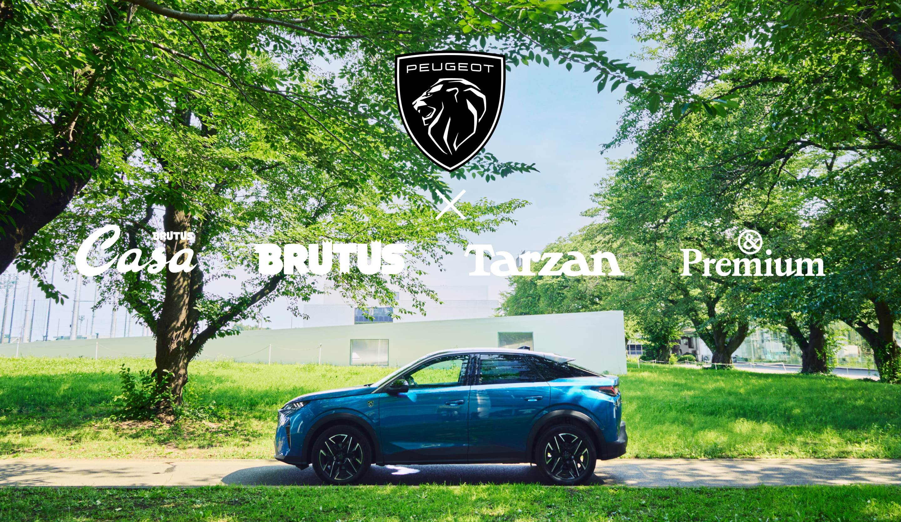 カーサ ブルータス Casa BRUTUS