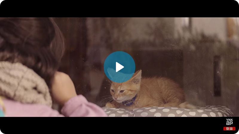 YKK AP TV CM 窓と猫の物語 「SISTERS」篇 60秒