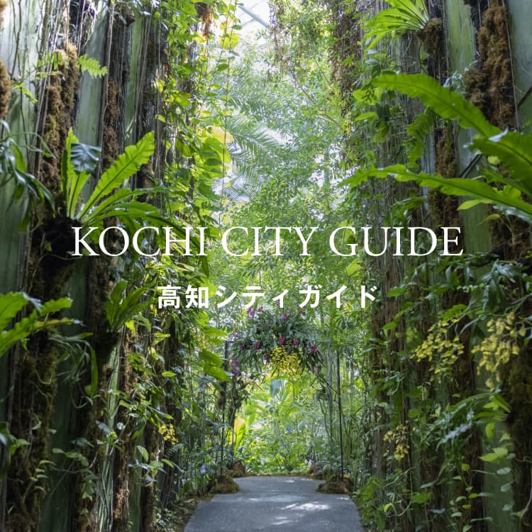 高知シティガイド